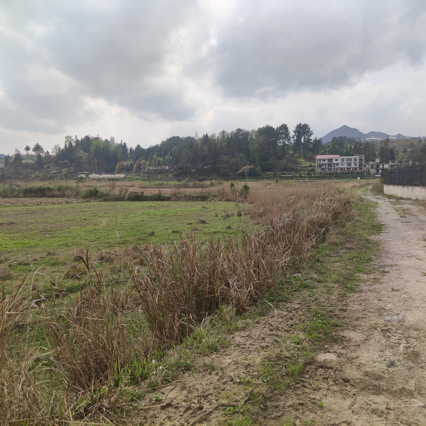 1647421696847668.png 圖片關(guān)鍵詞