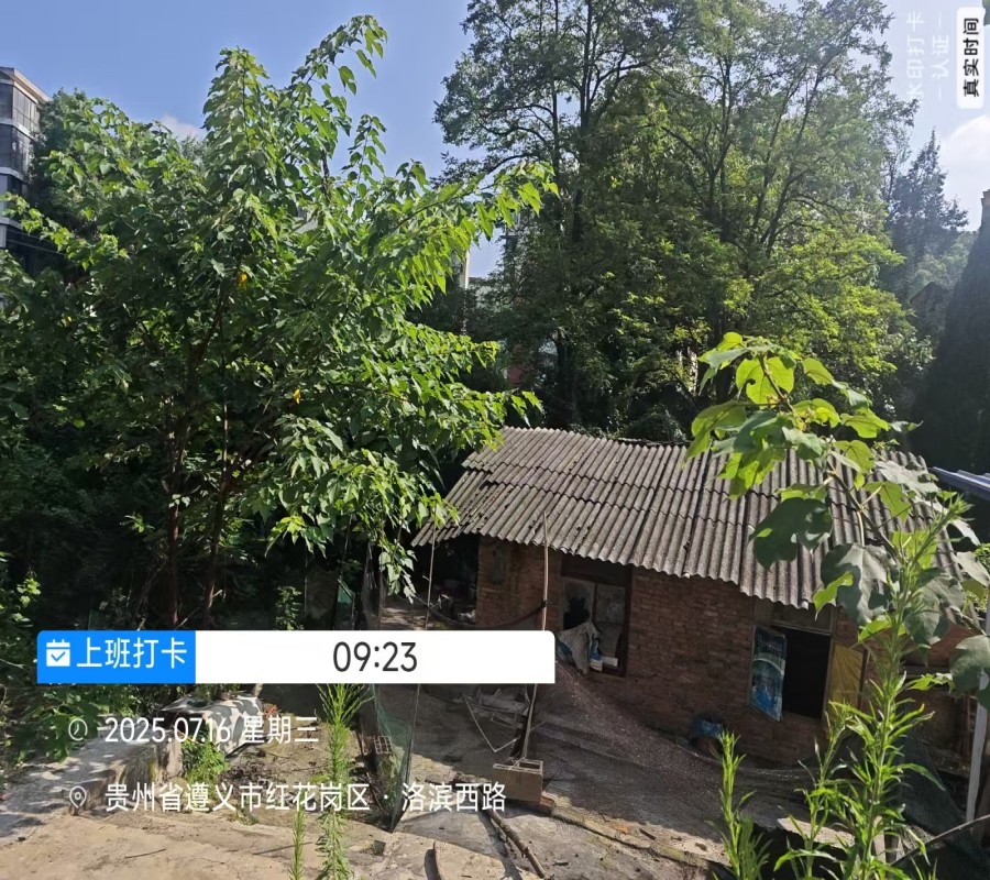 圖片關鍵詞