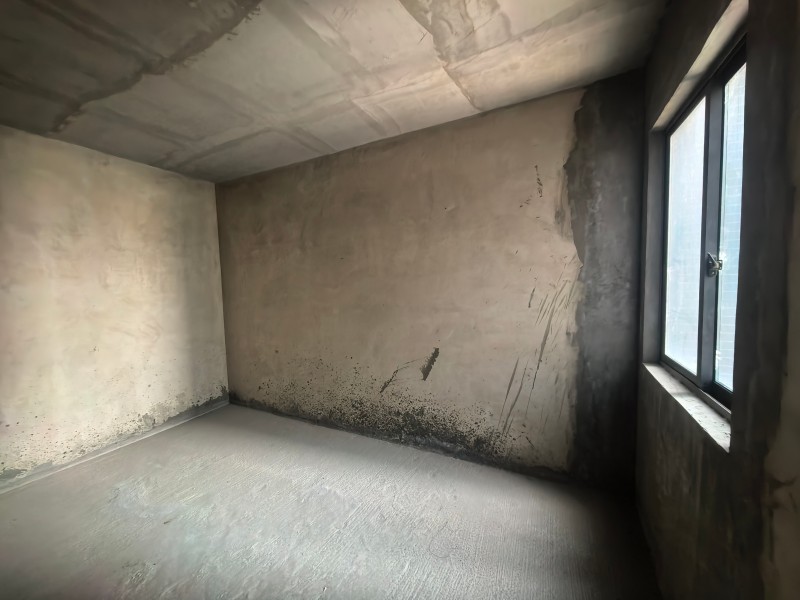 1773308458700908.jpg 圖片關鍵詞