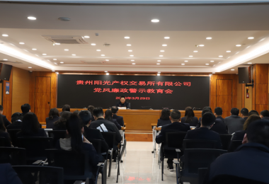 貴州陽光產(chǎn)權(quán)交易所開展黨風廉政警示教育大會