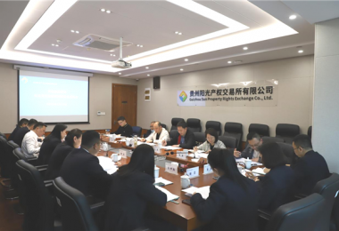 貴州省地方金融監(jiān)管局、貴州證監(jiān)局、貴陽市金融辦到貴州陽光產(chǎn)權(quán)交易所、貴州環(huán)交所開展權(quán)益類交易場所調(diào)研