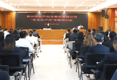 貴州陽(yáng)光產(chǎn)權(quán)交易所有限公司舉辦2024年“安全生產(chǎn)月”專題培訓(xùn)